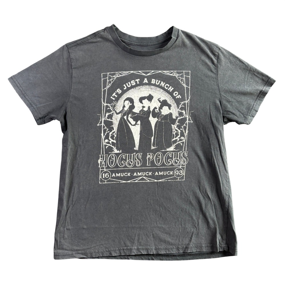 Disney Hocus Pocus Sanderson Sisters Graphic T-Shirt Charcoal Gray Unisex Medium